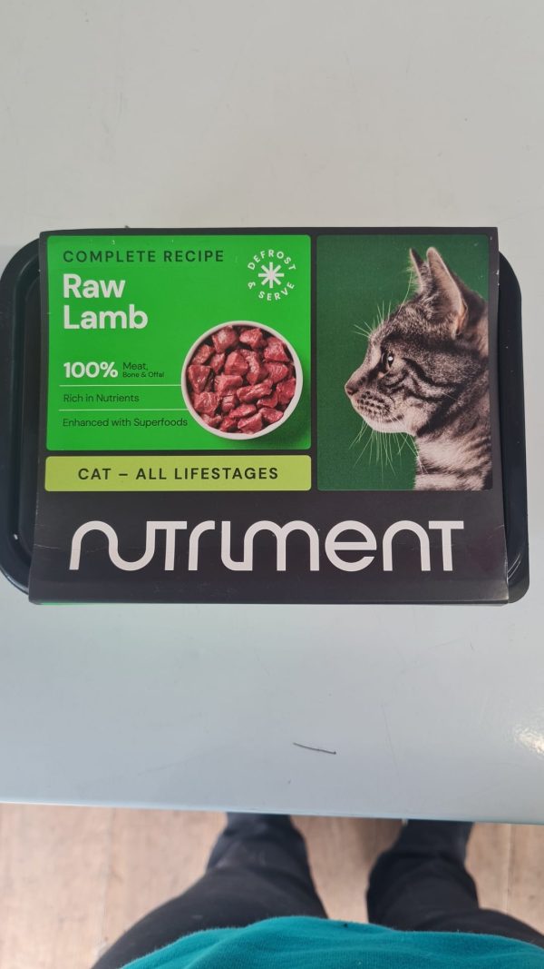Lamb