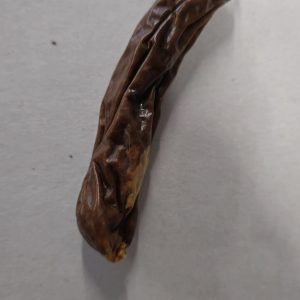 Sausage 1pc