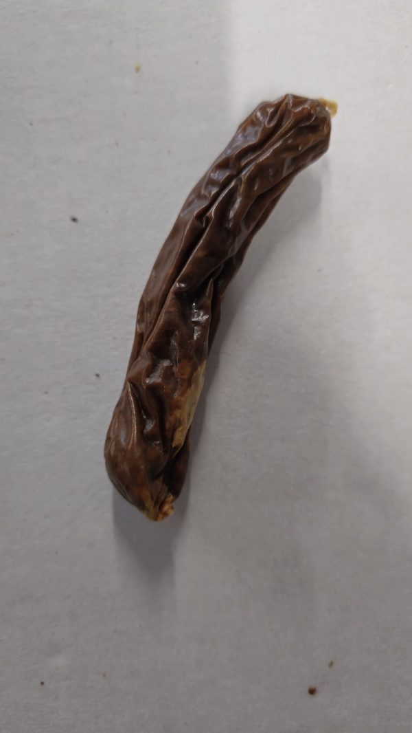 Sausage 1pc