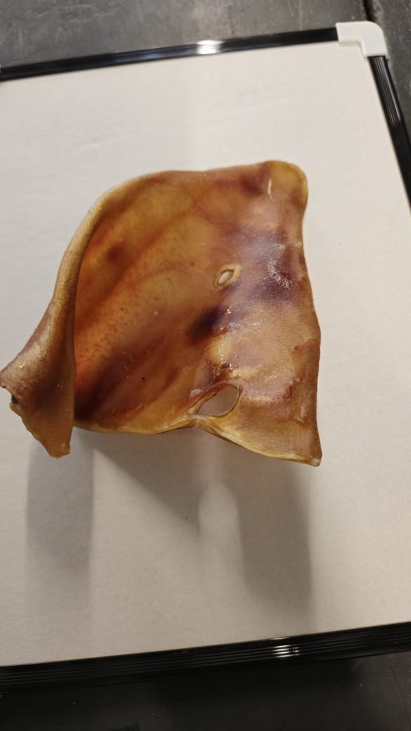 Pig Ear 1pc
