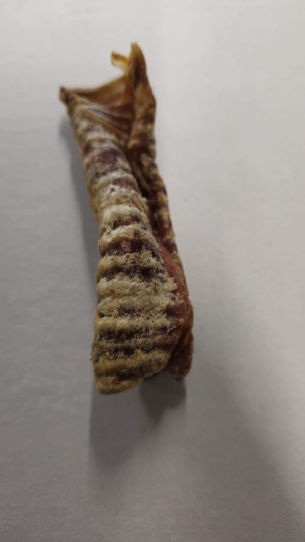 Beef Traechea 1pc
