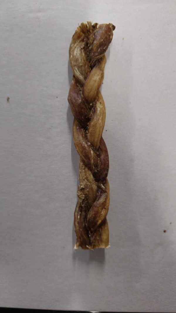 Beef Braided Pizzle 1 pc