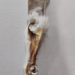 Rabbit Ear 1pc