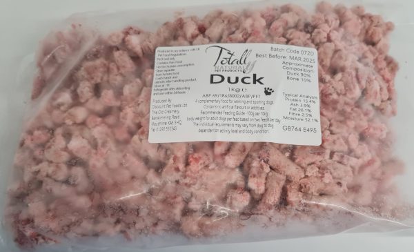 Duck