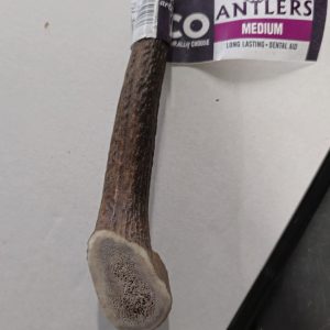 Antlers 1pc