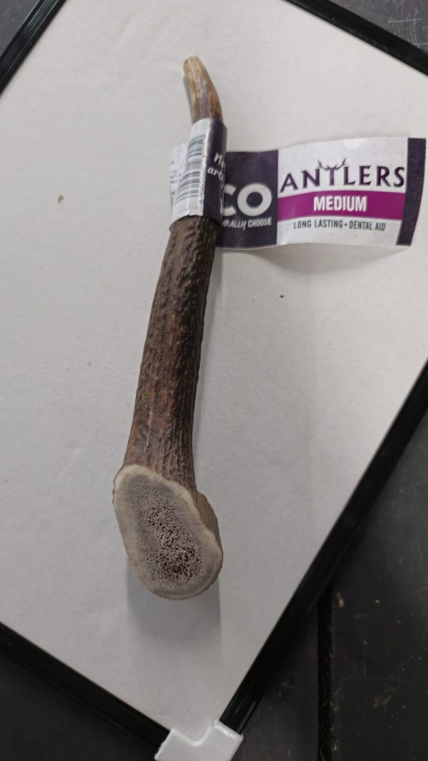 Antlers 1pc